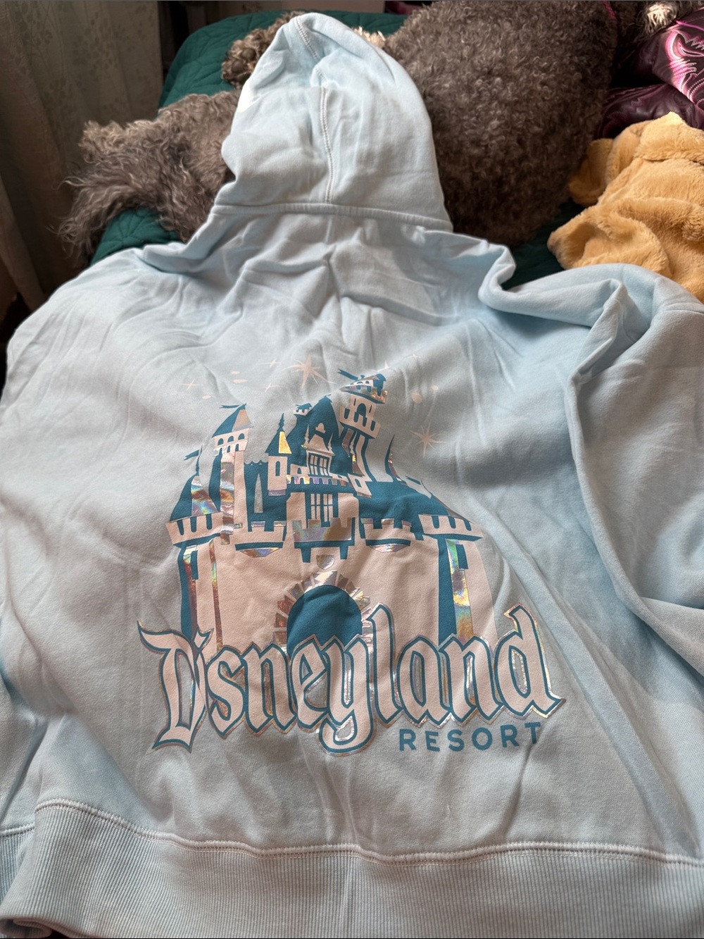 Disney Disneyland Resort Light Blue Castle Hoodie